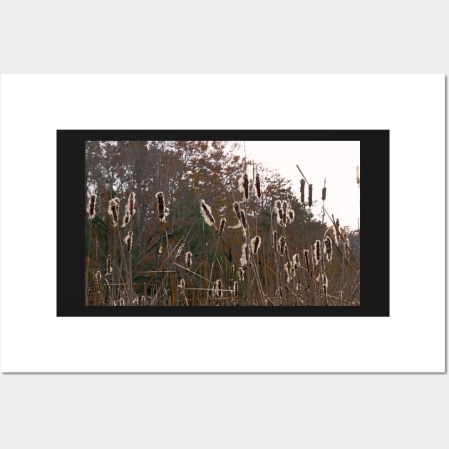 Cat Tails Wall Art by EileenMcVey